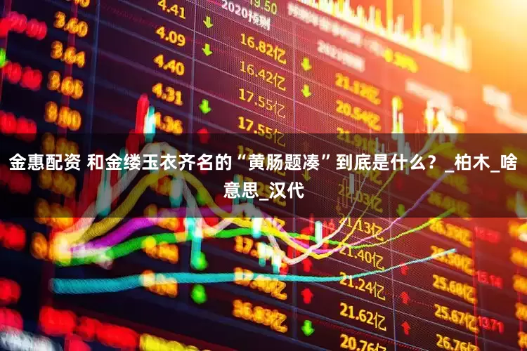 金惠配资 和金缕玉衣齐名的“黄肠题凑”到底是什么？_柏木_啥意思_汉代