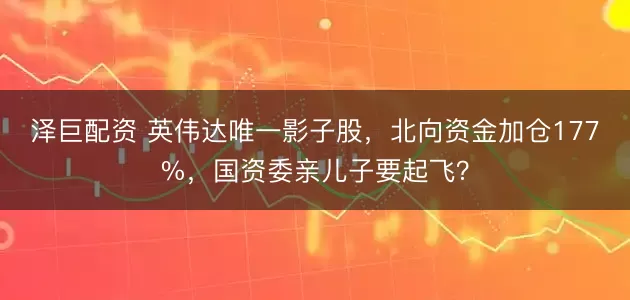 泽巨配资 英伟达唯一影子股,北向资金加仓177%,国资委亲儿子要起飞?